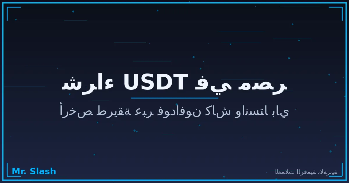 شراء USDT في مصر 2026: أرخص طريقة عبر فودافون كاش وانستا باي (دليل P2P)